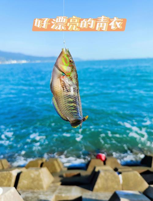 深圳釣魚裝備推薦_深圳垂釣地點_釣魚 野釣