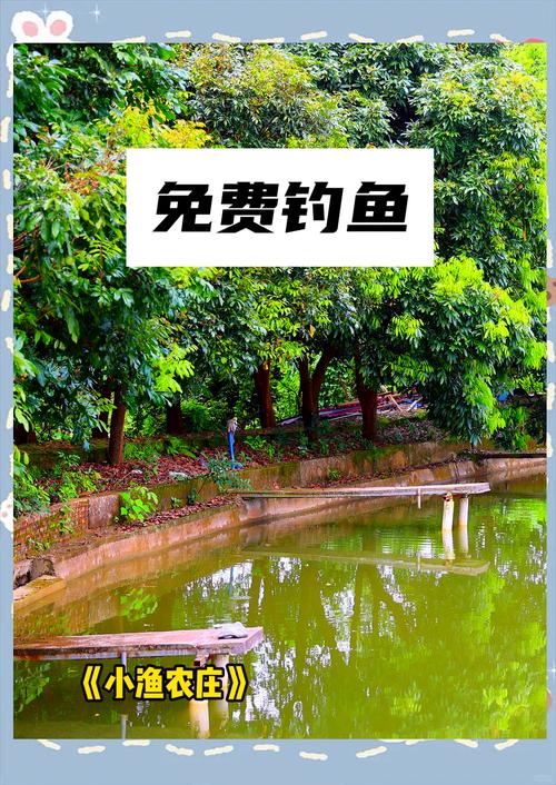 深圳釣魚裝備推薦_釣魚 野釣_深圳垂釣地點