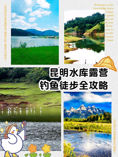三家村水庫釣魚免費地點_昆明周邊野釣免費水庫_昆明上游水庫釣魚不收費地點