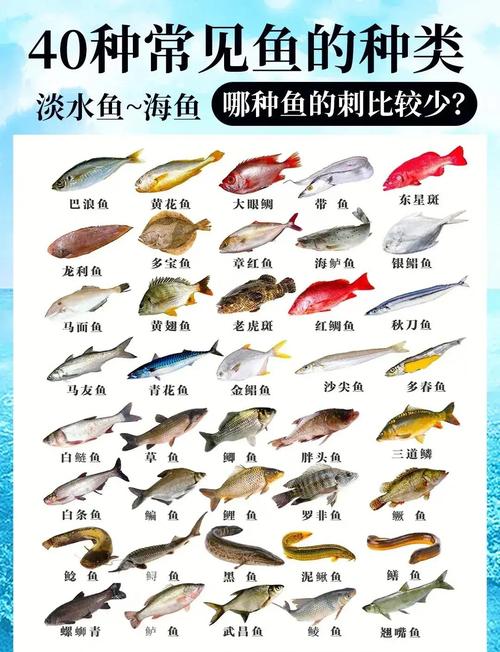分析常見魚種的生活習性必看