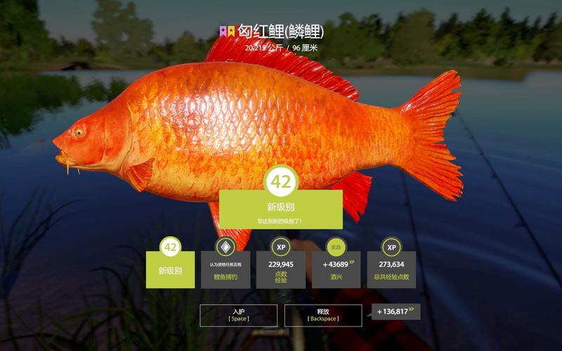 極限釣魚第四季3：英屬巴布亞新幾內亞紅寶石鯛_極限釣魚第四季3：英屬巴布亞新幾內亞紅寶石鯛_極限釣魚第四季3：英屬巴布亞新幾內亞紅寶石鯛