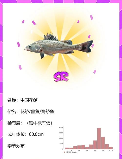 海釣對象魚類_海竿釣魚怎么判斷有魚_海釣與淡水釣區別