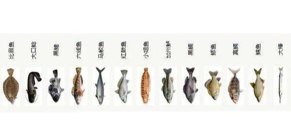 海竿釣魚怎么判斷有魚_海釣對象魚類_海釣與淡水釣區別