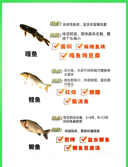 草魚的攝食習性與味型偏好，你了解多少？