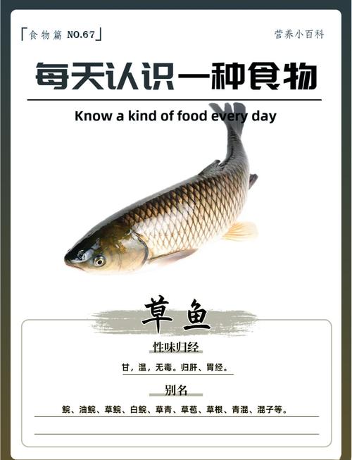 秋釣草魚餌料味型_草魚攝食習性_草魚味型偏好