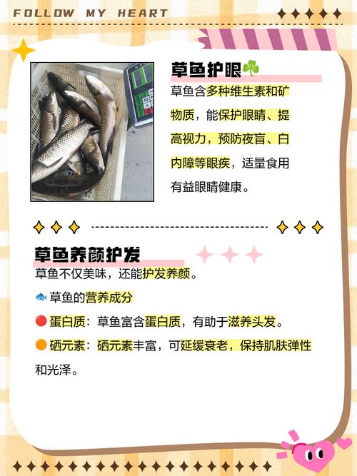 草魚攝食習性_秋釣草魚餌料味型_草魚味型偏好