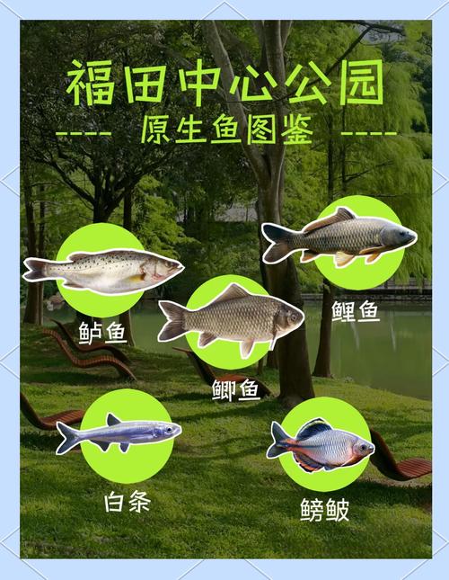 深圳釣魚好去處大盤點，含豐富資源及實用裝備攻略