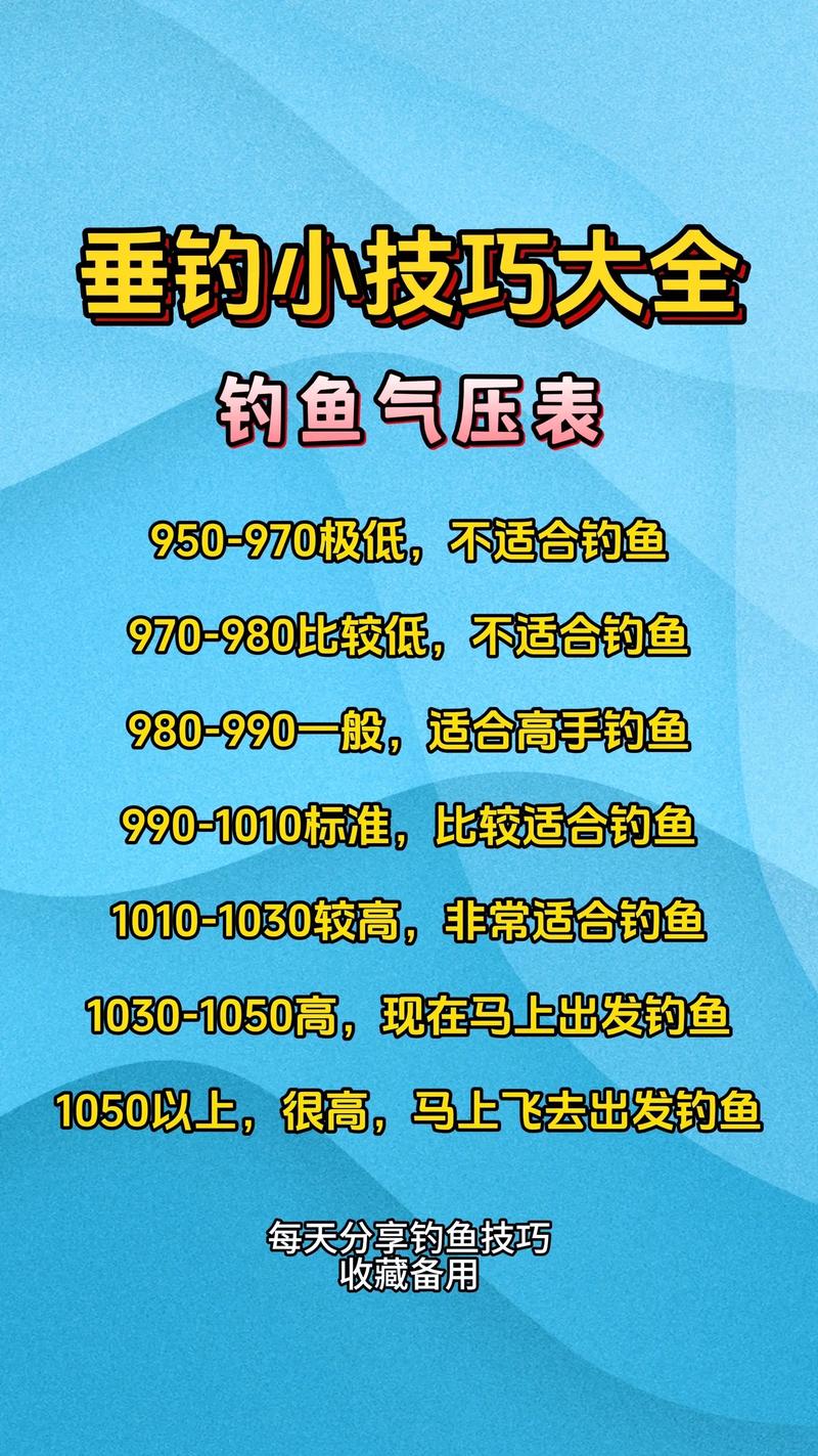 垂釣教程視頻全集_垂釣視頻大全_休閑垂釣視頻