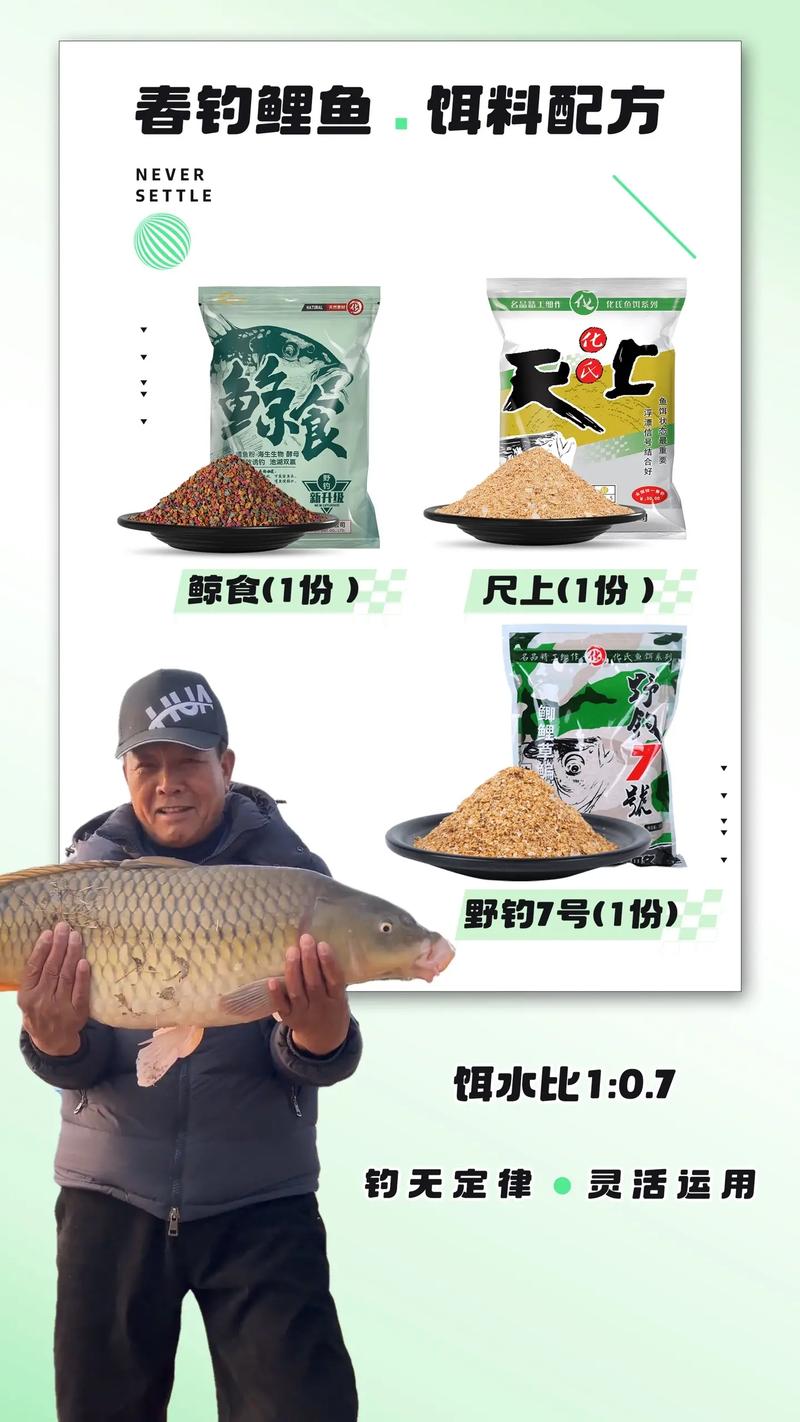 分享不同季節水庫釣鯉魚的餌料配方必看