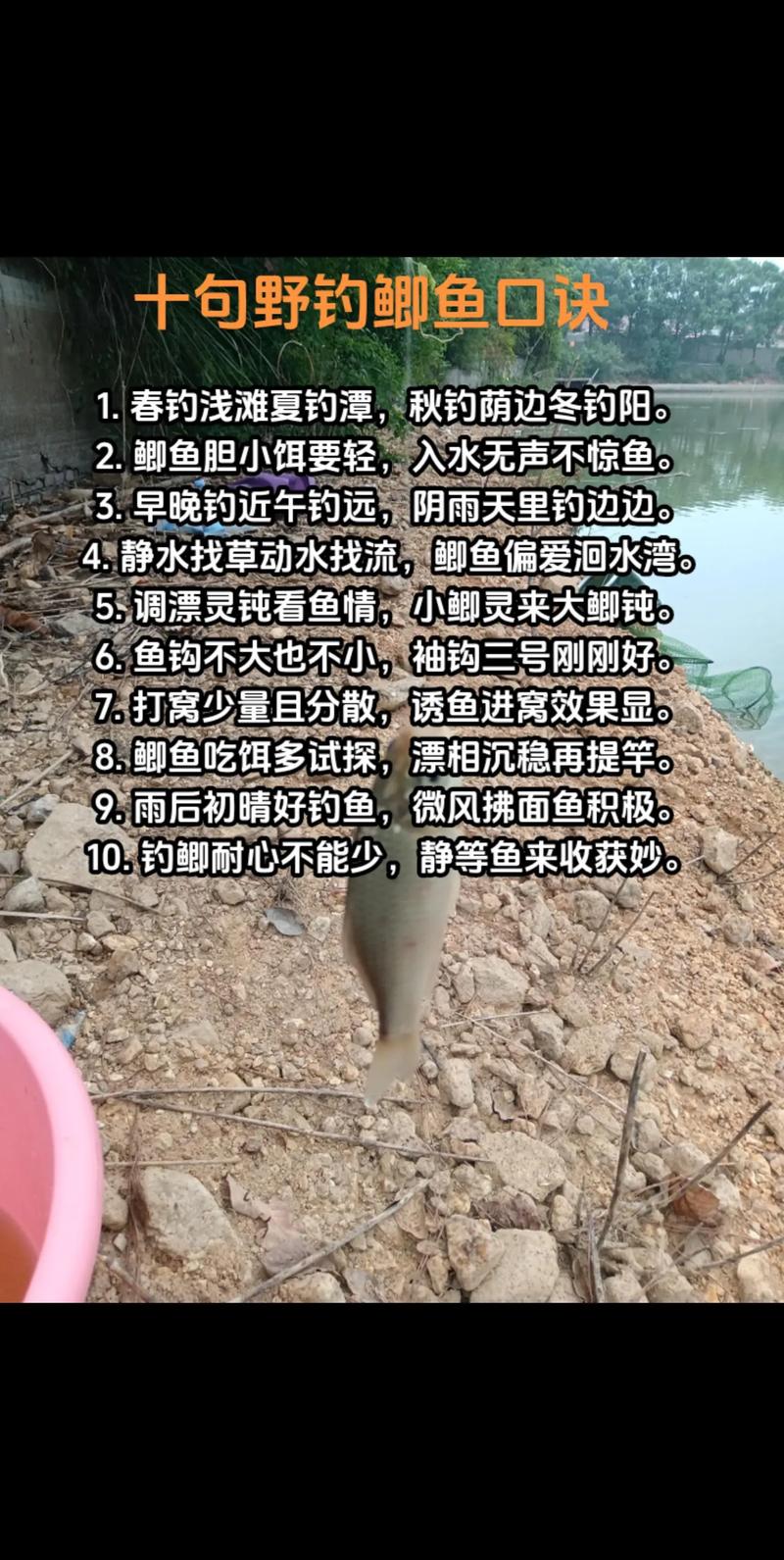 七月份野釣鯽魚技巧?_秋季釣魚方法_白露釣魚技巧