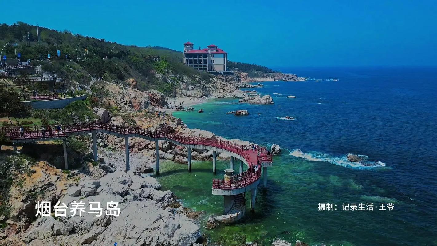 養馬島釣魚_養馬島度假村特色品牌_養馬島特色旅游項目