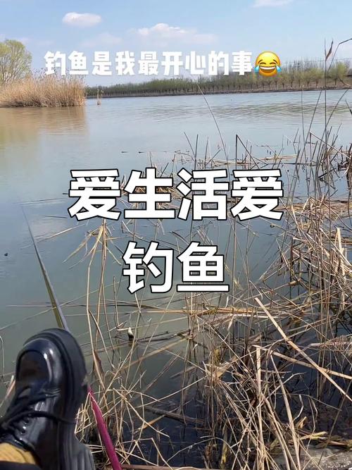 沈陽釣魚論壇_沈陽釣魚論壇魚訊版_沈陽釣魚網