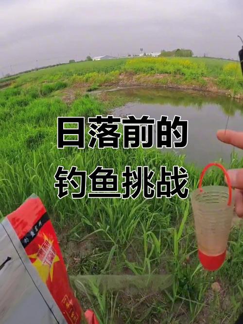 四川天然釣場大揭秘！各地市州釣魚勝地全知道