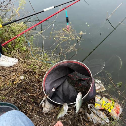 四川釣魚勝地_四川各地釣魚攻略_宜賓觀音鎮有釣魚的地方嗎