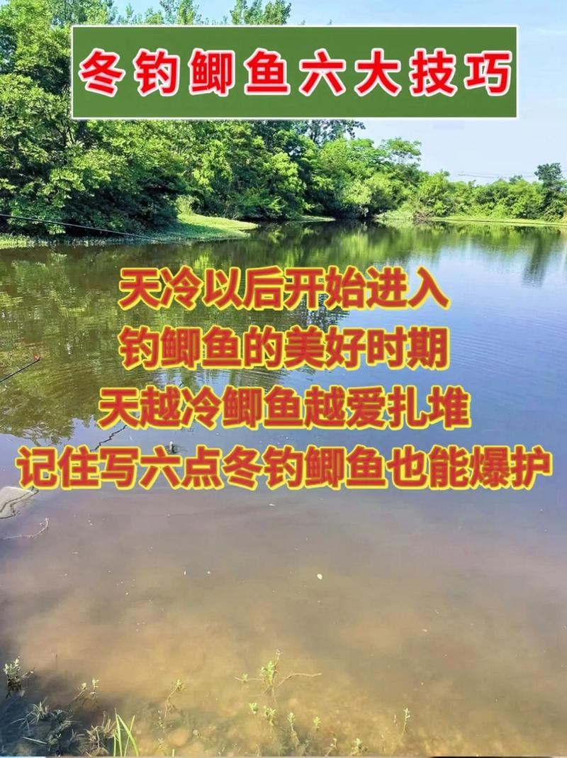分享個人冬季夜釣鯽魚技巧_冬天夜釣鯽魚餌料配方_冬季野釣夜釣鯽魚