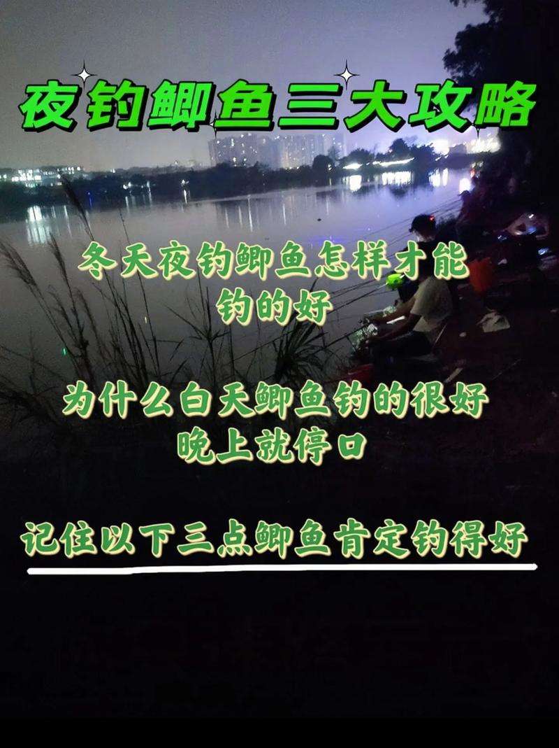分享個人冬季夜釣鯽魚技巧_冬季野釣夜釣鯽魚_冬天夜釣鯽魚餌料配方