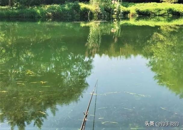 分享附近免費釣魚的水庫和野釣地點