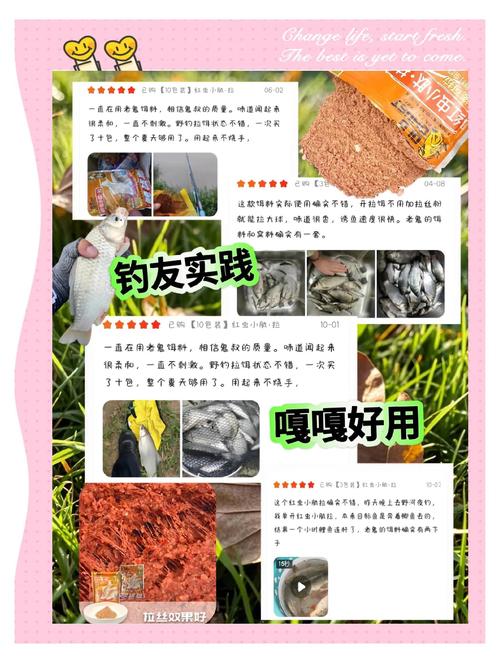 幾種秋季釣魚餌料味型和狀態的調整心得必看