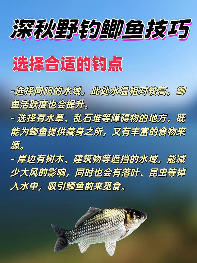 分享秋季野釣鯽魚的技巧大全(下)必看