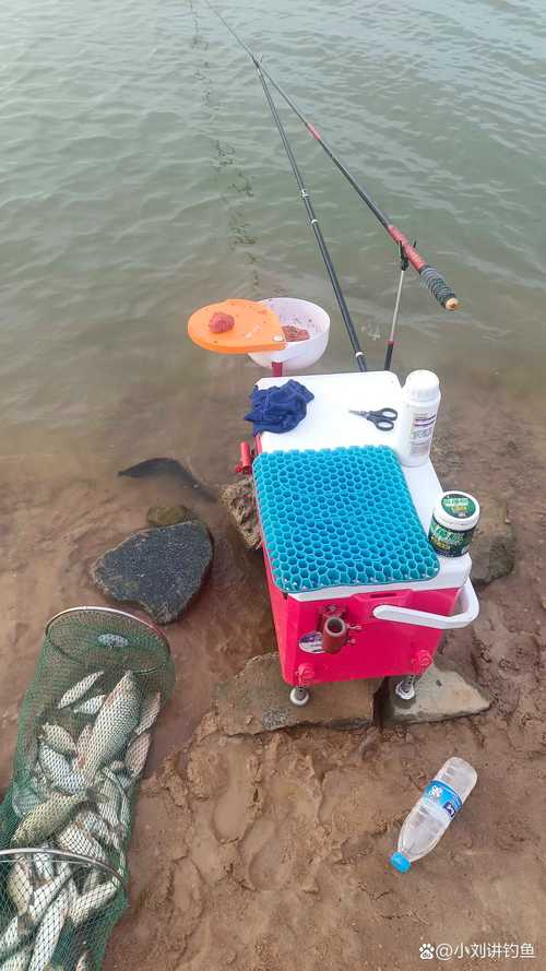 釣流水探箱河必看魚嗎_釣箱盛魚是否加冰塊_起早探釣流水河方法得當魚滿箱必看