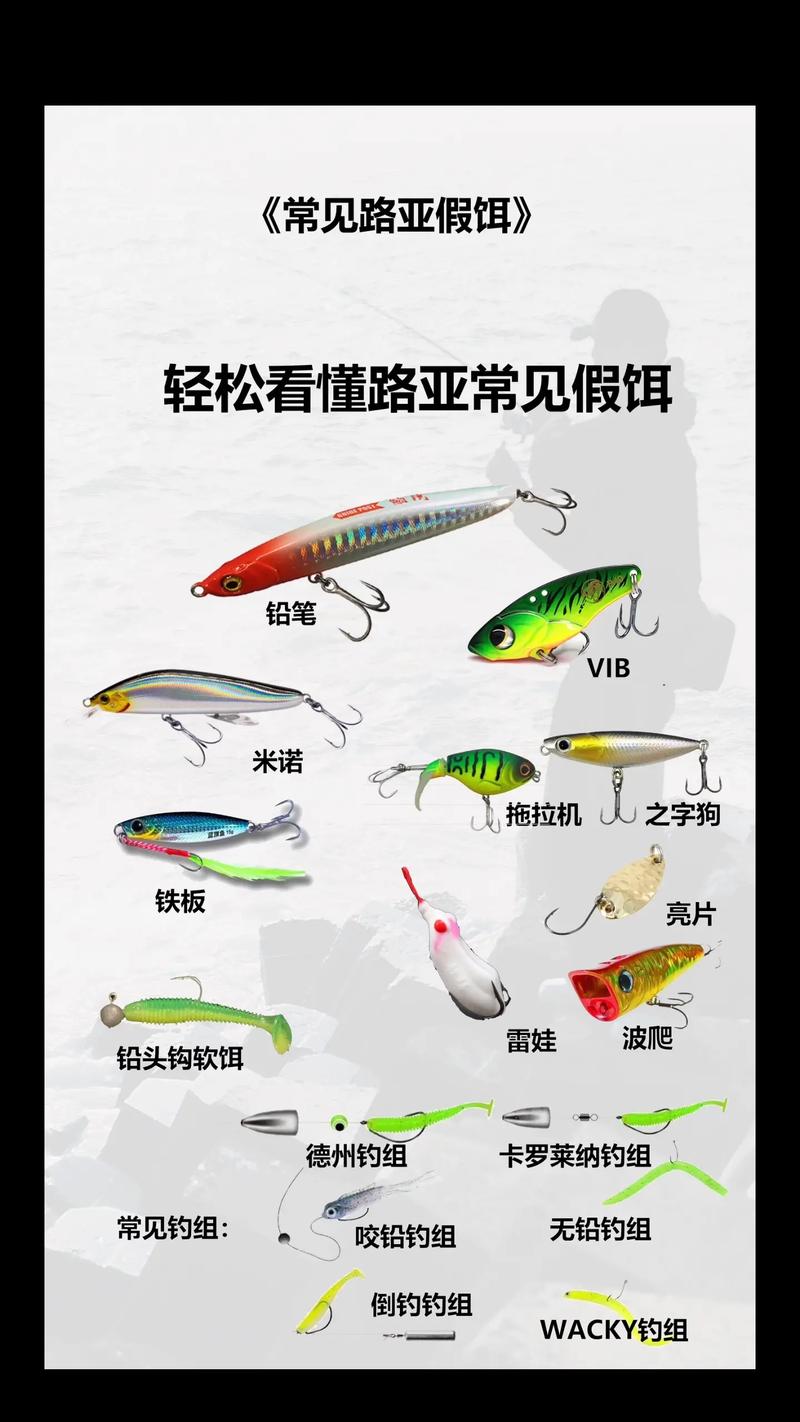 路亞釣魚必知！如何根據對象魚選路亞餌及相關裝備？