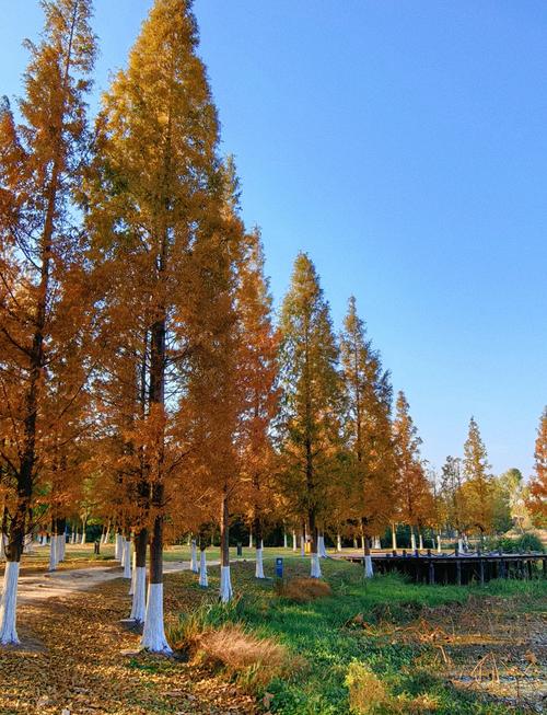 鎮江最大的水庫_鎮江免費湖庫大全_鎮江最大的水庫是哪個