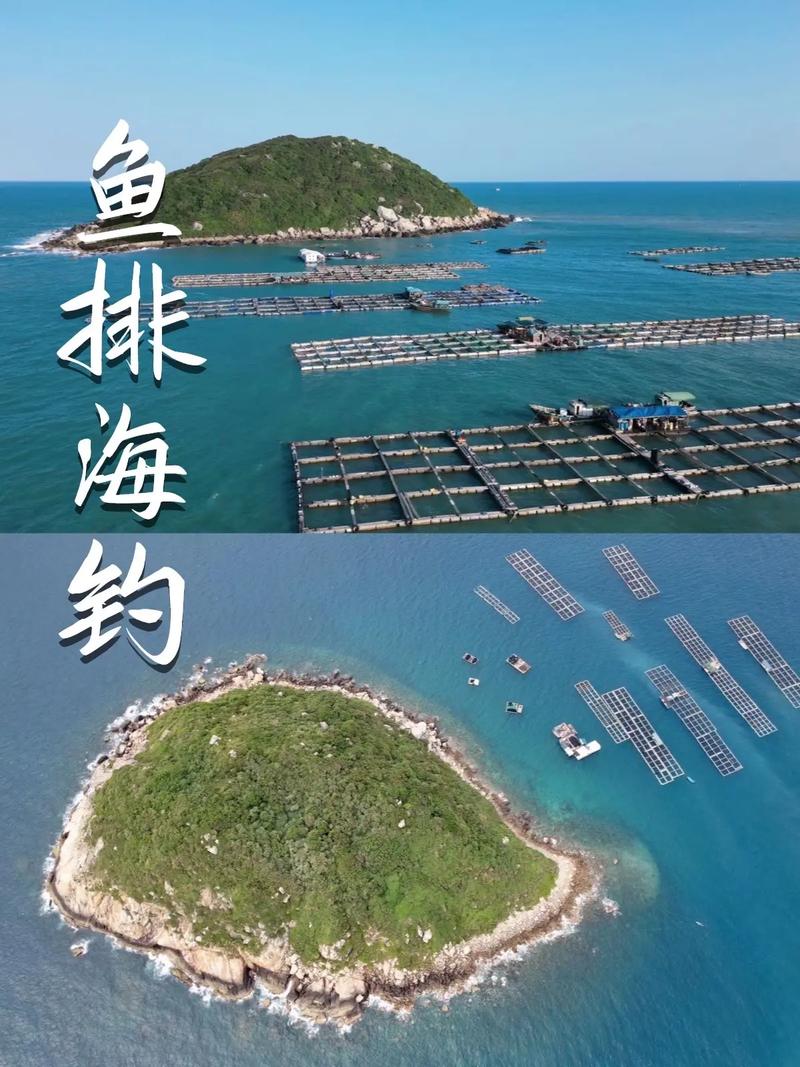 我國特色海釣交流平臺推薦：海釣之家與釣魚人社區海釣板塊