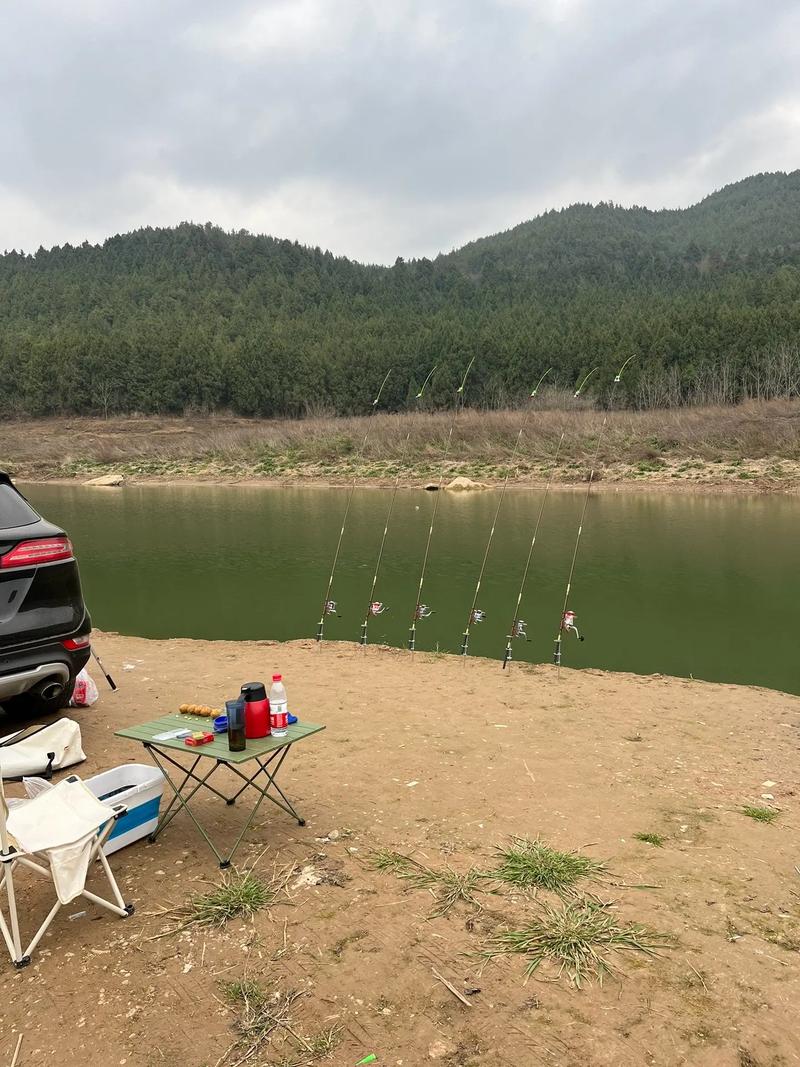升鐘水庫釣魚收費_升鐘水庫釣魚視頻_水庫釣魚小視頻