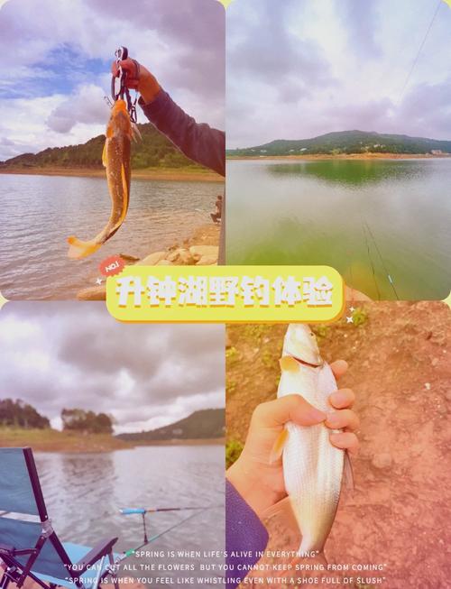 水庫釣魚小視頻_升鐘水庫釣魚視頻_升鐘水庫釣魚收費