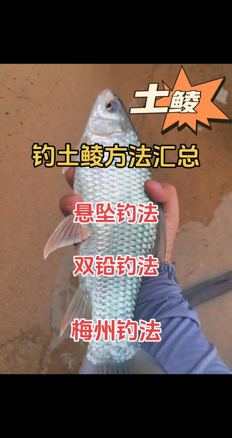 分享四種釣鯪魚需要掌握的方法_釣鳊魚要浮釣嗎_釣鯪魚需要打窩嗎