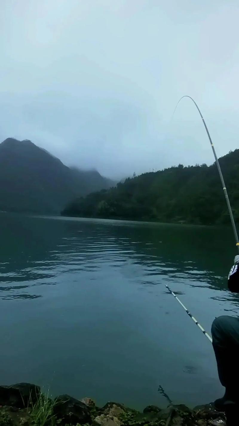 水庫垂釣短視頻走紅！傳遞知識還能帶來別樣場景體驗？