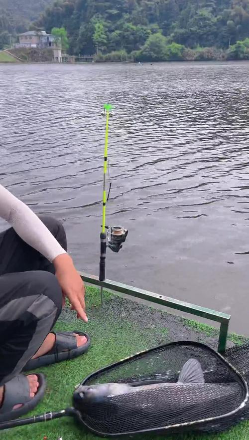 水庫釣魚視頻_水庫釣魚小視頻_釣魚視頻水庫大全
