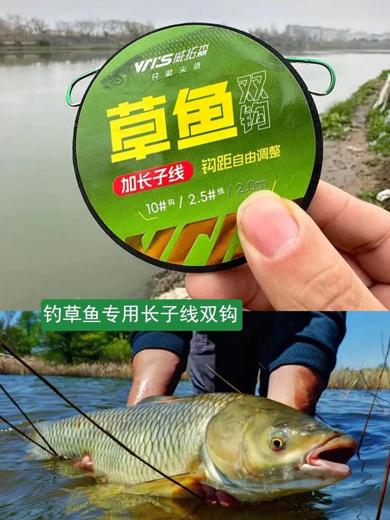 草魚餌料搭配_老三樣釣鯉魚草魚怎么樣_老三樣夏季釣草魚餌料怎么配