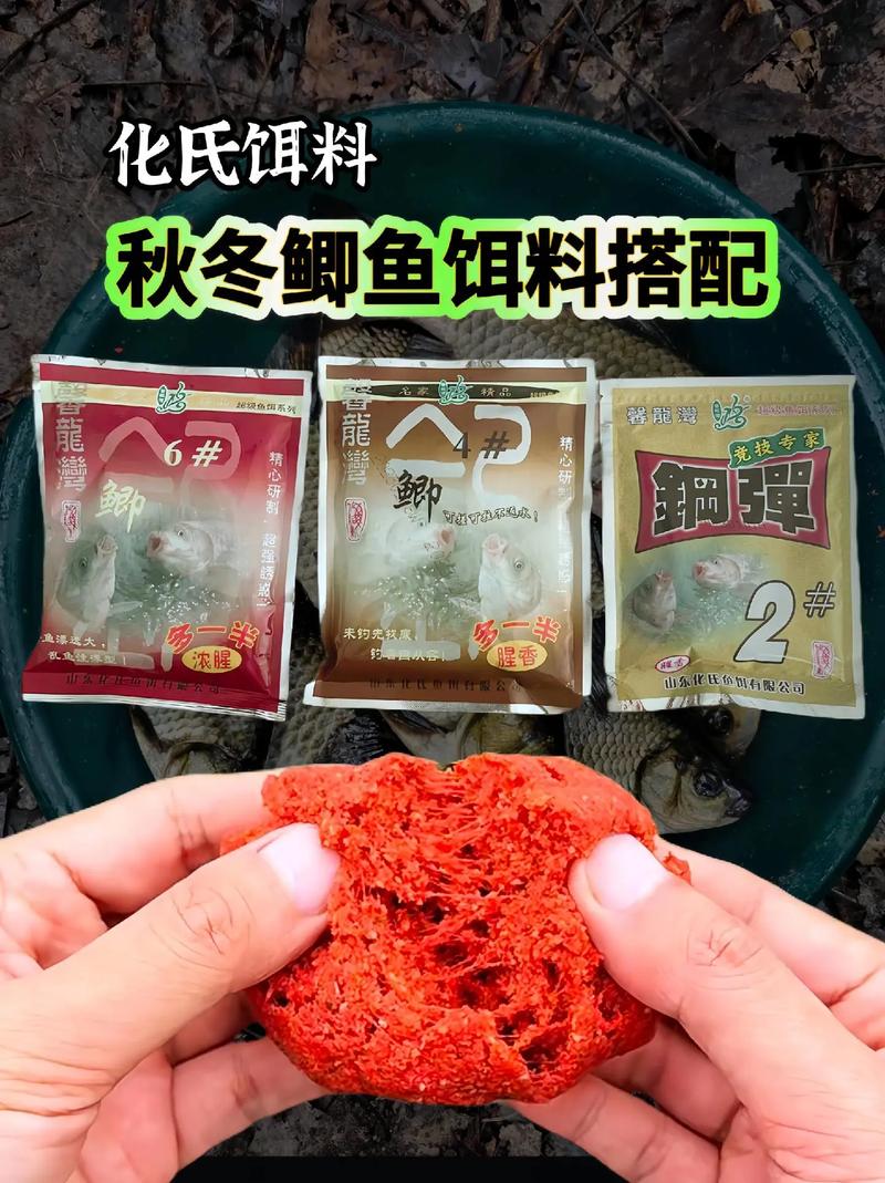 野釣鯽魚必備！商品餌與谷物餌配方及制作方法大揭秘