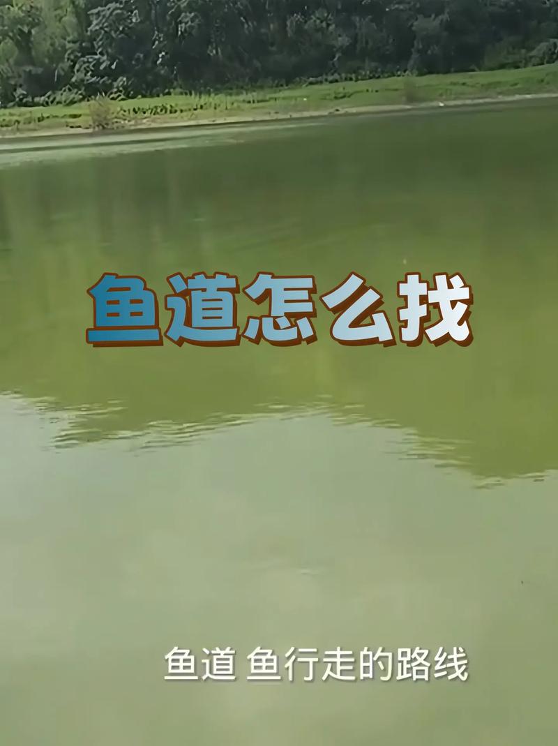 秋末水庫釣魚技巧_退水釣魚技巧_漲水釣魚位置選擇