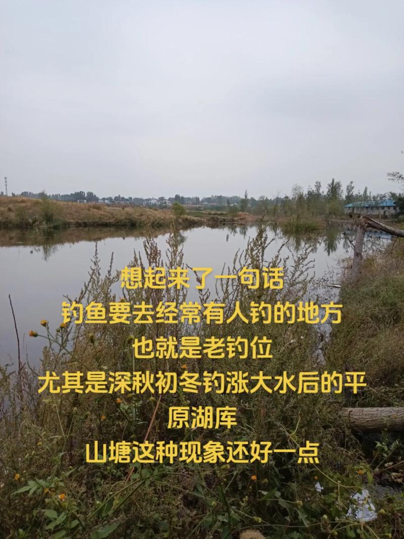 秋末水庫釣魚技巧_漲水釣魚位置選擇_退水釣魚技巧