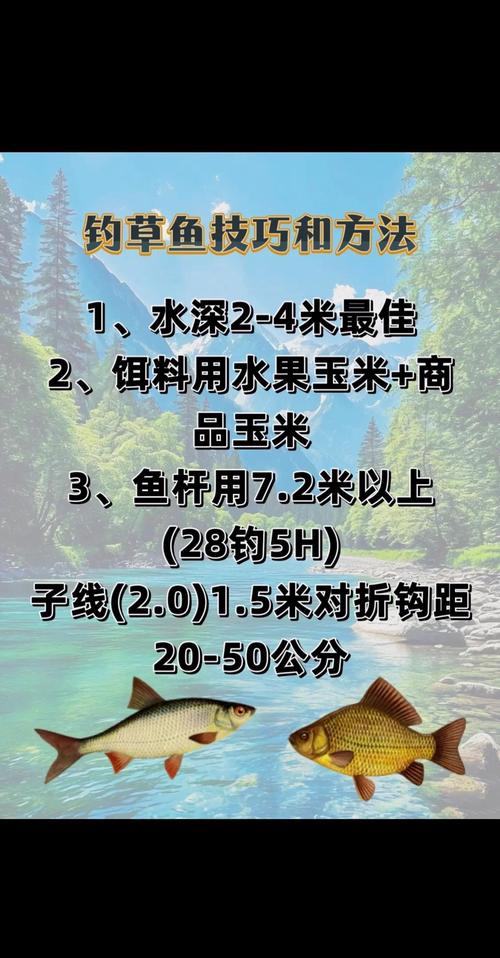 草魚餌料野釣_專攻草魚餌料_餌料草魚專攻釣什么魚