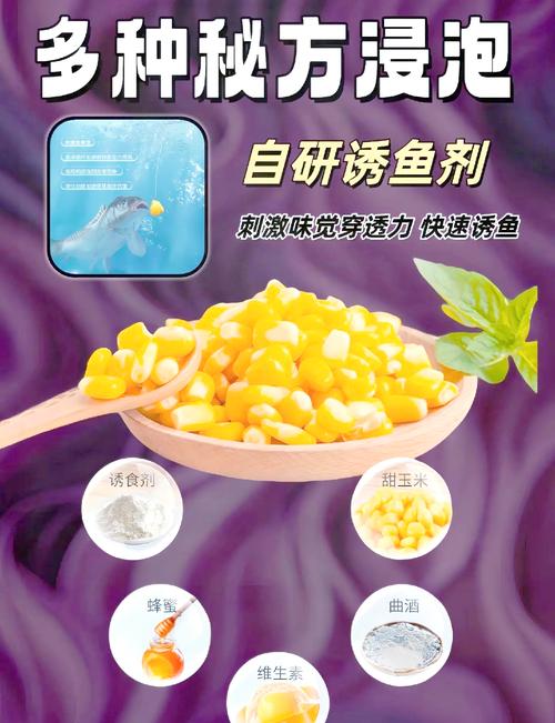 鮮玉米釣魚打窩_如何用玉米制作草魚餌料_玉米釣魚打窩料制作方法