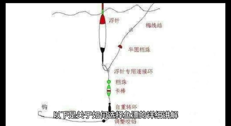 浮漂類型及特點_正確選擇魚漂成功助你博大物必看_釣魚浮漂選擇技巧