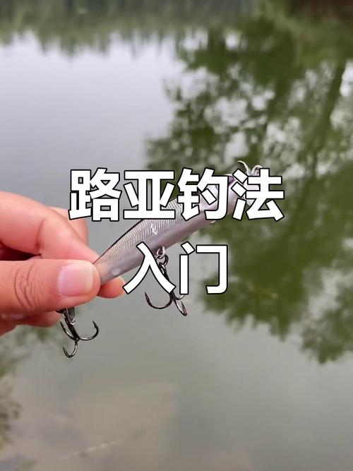 小汐路亞海鱸_小汐路亞翹嘴視頻_2024小汐路亞視頻全集