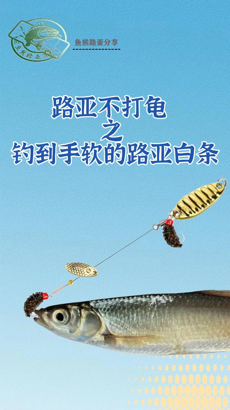 小汐路亞海鱸_2024小汐路亞視頻全集_小汐路亞翹嘴視頻