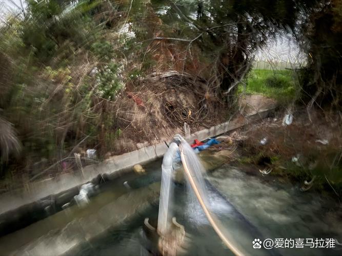 奮斗一晚上解毒成功安丘不知名小水庫_安丘最大的水庫有哪些_安丘水庫釣魚