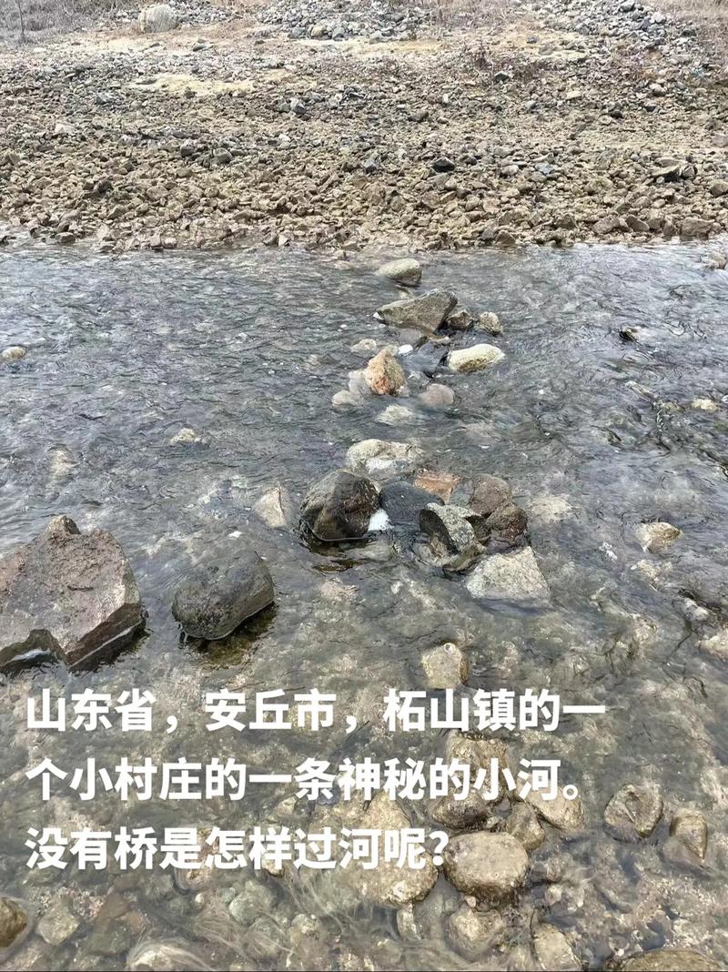 安丘最大的水庫有哪些_奮斗一晚上解毒成功安丘不知名小水庫_安丘水庫釣魚