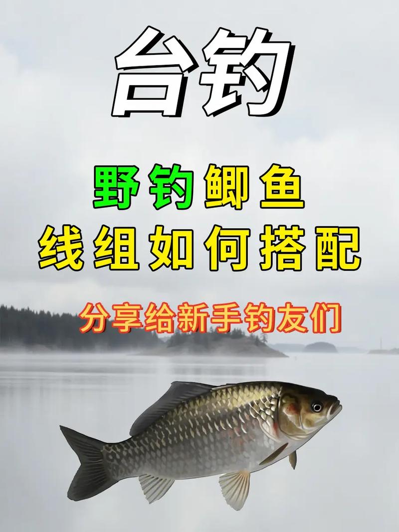 淺談初冬野釣鯽魚釣組搭配(上)必看_鯽魚野釣線組選擇_冬季野釣線組搭配