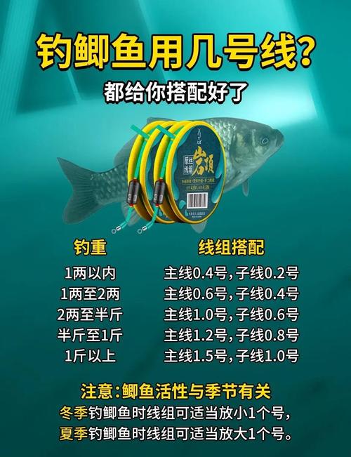 淺談初冬野釣鯽魚釣組搭配(上)必看_冬季野釣線組搭配_鯽魚野釣線組選擇