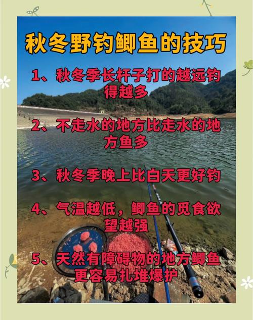 淺談初冬野釣鯽魚釣組搭配(上)必看_冬季野釣線組搭配_鯽魚野釣線組選擇