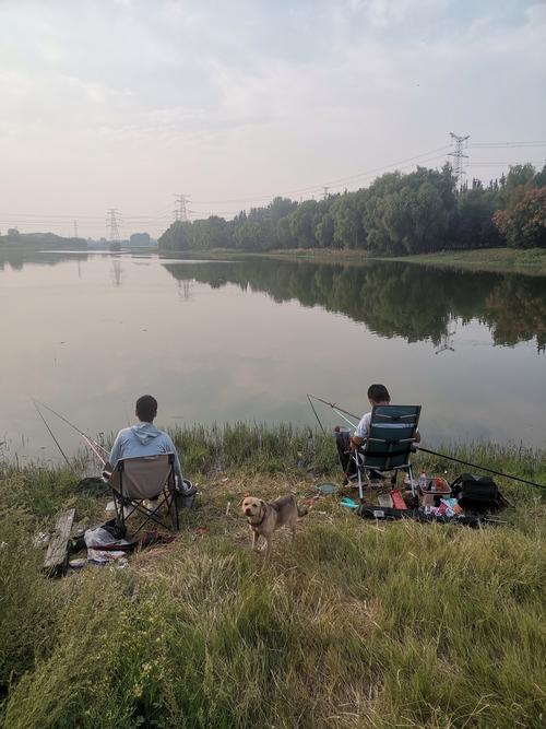 鄭州有沒有野釣群拉我一下_鄭州黃河灘釣魚好去處_鄭州黃河釣魚地點推薦