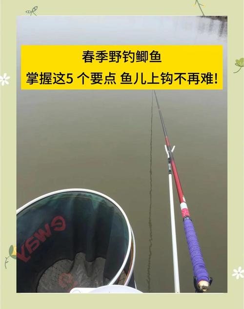 釣魚視頻野釣實戰大魚_釣魚視頻野釣實戰全集視頻_釣大魚小視頻