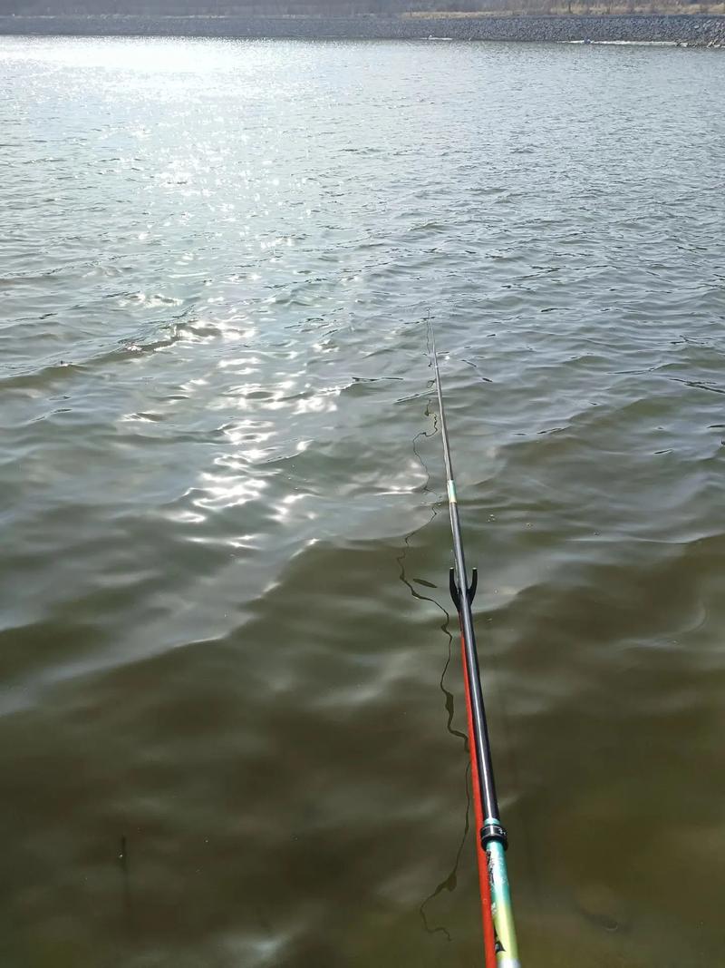 四海釣魚野釣視頻在線觀看_下載四海釣魚野釣視頻_四海釣魚水庫野釣視頻