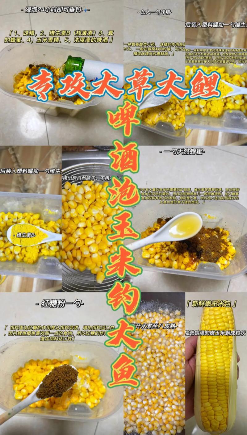 自制野釣魚餌配方大全_玉米餌料配方_玉米粒釣魚技巧